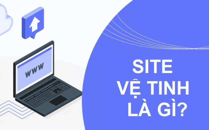 Website vệ tinh là gì?
